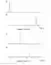 Fig. 06 - METHOD FOR THE PREPARATION OF MONOLITHIC COLUMNS