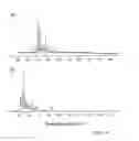 Fig. 08 - METHOD FOR THE PREPARATION OF MONOLITHIC COLUMNS