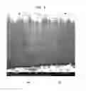 Fig. 04 - Conductive Ink Composition