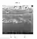Fig. 07 - Conductive Ink Composition