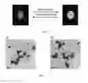 Fig. 04 - Fluorescent material for self-erasable writing, authentic security labeling, currency counterfeit prevention and processes for the preparation thereof