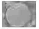 Fig. 01 - Composite wavelength conversion powder, resin composition containing composite wavelength conversion powder, and light emitting device