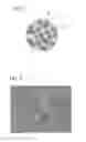 Fig. 04 - Composite wavelength conversion powder, resin composition containing composite wavelength conversion powder, and light emitting device