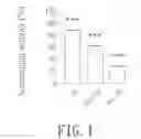 Fig. 02 - Use of stem cell conditioned medium to inhibit oxidation for anti-aging skin