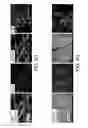 Fig. 07 - COMPOSITIONS AND METHODS FOR GENERATING NEURAL CREST STEM CELLS AND SENSORY NEURONS