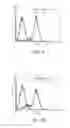 Fig. 07 - Methods of producing RPE cells
