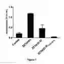 Fig. 06 - Method for obtaining antigen-specific human antibodies by in vitro immunisation