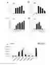 Fig. 03 - Method for inducing pluripotent stem cells to differentiate into ventricular myocytes in vitro