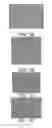 Fig. 02 - PLURIPOTENT STEM CELLS OBTAINED FROM DENTAL PULP