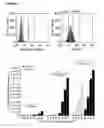 Fig. 07 - Method for the isolation for mammalian stem cells and uses thereof