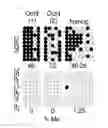 Fig. 04 - METHOD FOR REPROGRAMMING OF HUMAN DENTAL PULP CELL USING OCT4 AND SOX2 AND USE THEREOF