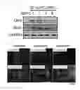 Fig. 05 - METHOD FOR REPROGRAMMING OF HUMAN DENTAL PULP CELL USING OCT4 AND SOX2 AND USE THEREOF