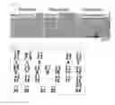 Fig. 06 - METHOD FOR REPROGRAMMING OF HUMAN DENTAL PULP CELL USING OCT4 AND SOX2 AND USE THEREOF