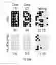 Fig. 08 - METHOD FOR REPROGRAMMING OF HUMAN DENTAL PULP CELL USING OCT4 AND SOX2 AND USE THEREOF