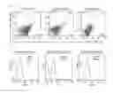 Fig. 22 - METHOD FOR REPROGRAMMING OF HUMAN DENTAL PULP CELL USING OCT4 AND SOX2 AND USE THEREOF