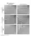 Fig. 28 - METHOD FOR REPROGRAMMING OF HUMAN DENTAL PULP CELL USING OCT4 AND SOX2 AND USE THEREOF