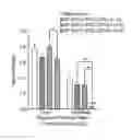 Fig. 35 - METHOD FOR REPROGRAMMING OF HUMAN DENTAL PULP CELL USING OCT4 AND SOX2 AND USE THEREOF