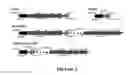 Fig. 03 - Microbial strains and methods of making and using