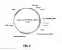 Fig. 06 - Polypeptides having laccase activity and polynucleotides encoding same