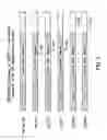 Fig. 04 - ENGINEERED LOWER EUKARYOTIC HOST STRAINS DEFICIENT IN GRR1 ACTIVITY FOR RECOMBINANT PROTEIN