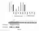 Fig. 32 - MICROMIRs