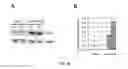 Fig. 41 - MICROMIRs