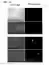 Fig. 06 - EMBEDDED CHIMERIC PEPTIDE NUCLEIC ACIDS AND USES THEREOF