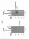 Fig. 43 - Therapeutic applications of p53 isoforms in regenerative medicine, aging and cancer