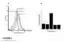 Fig. 03 - CD133 aptamers for detection of cancer stem cells