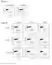 Fig. 02 - Inhibitory oligonucleotide and use thereof