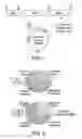 Fig. 02 - Compositions and methods for genetic constructs