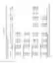 Fig. 22 - PLANTS WITH ALTERED ROOT ARCHITECTURE, RELATED CONSTRUCTS AND METHODS INVOLVING GENES ENCODING LEUCINE RICH REPEAT KINASE (LLRK) POLYPEPTIDES AND HOMOLOGS THEREOF