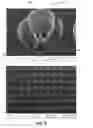 Fig. 09 - Ultrahigh throughput microinjection device