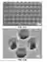 Fig. 22 - Ultrahigh throughput microinjection device