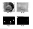 Fig. 06 - Inkjet gene printing