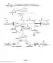 Fig. 02 - Modified bacteria for the production of bioalcohol