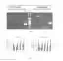 Fig. 07 - Recombinant microorganisms and methods of use thereof