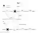 Fig. 03 - Recombinant microorganism having enhanced butanol producing ability and method for producing butanol using the same