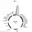 Fig. 04 - Recombinant microorganism having enhanced butanol producing ability and method for producing butanol using the same