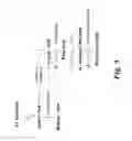 Fig. 06 - Compositions and methods for biological production of fatty acid derivatives