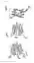 Fig. 54 - METHODS AND COMPOSITIONS FOR IMPROVING SUGAR TRANSPORT, MIXED SUGAR FERMENTATION, AND PRODUCTION OF BIOFUELS