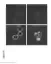Fig. 62 - METHODS AND COMPOSITIONS FOR IMPROVING SUGAR TRANSPORT, MIXED SUGAR FERMENTATION, AND PRODUCTION OF BIOFUELS