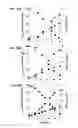 Fig. 85 - METHODS AND COMPOSITIONS FOR IMPROVING SUGAR TRANSPORT, MIXED SUGAR FERMENTATION, AND PRODUCTION OF BIOFUELS