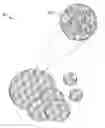 Fig. 01 - Substrates and Methods for Preparing Samples for Mass Spectrometry