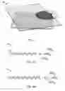 Fig. 04 - Substrates and Methods for Preparing Samples for Mass Spectrometry