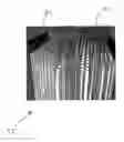 Fig. 01 - AN IMPROVED DEVICE AND METHOD FOR SAMPLE SEPARATION