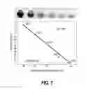 Fig. 12 - Primers, probes, and methods for mycobacterium tuberculosis specific diagnosis