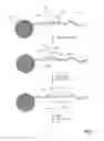 Fig. 02 - Immobilized buffer particles and uses thereof