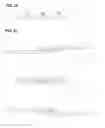 Fig. 09 - RNA DETECTION METHOD AND DETECTION KIT
