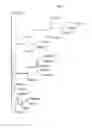 Fig. 06 - Assessing risk of reading and language impairment